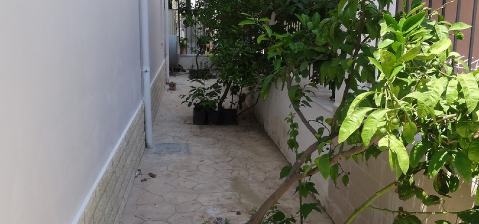 Rruga Terfil Agai,Tiranë,Albania,5 Bedrooms Bedrooms,4 BathroomsBathrooms,Villas,Rruga Terfil Agai ,4,1124