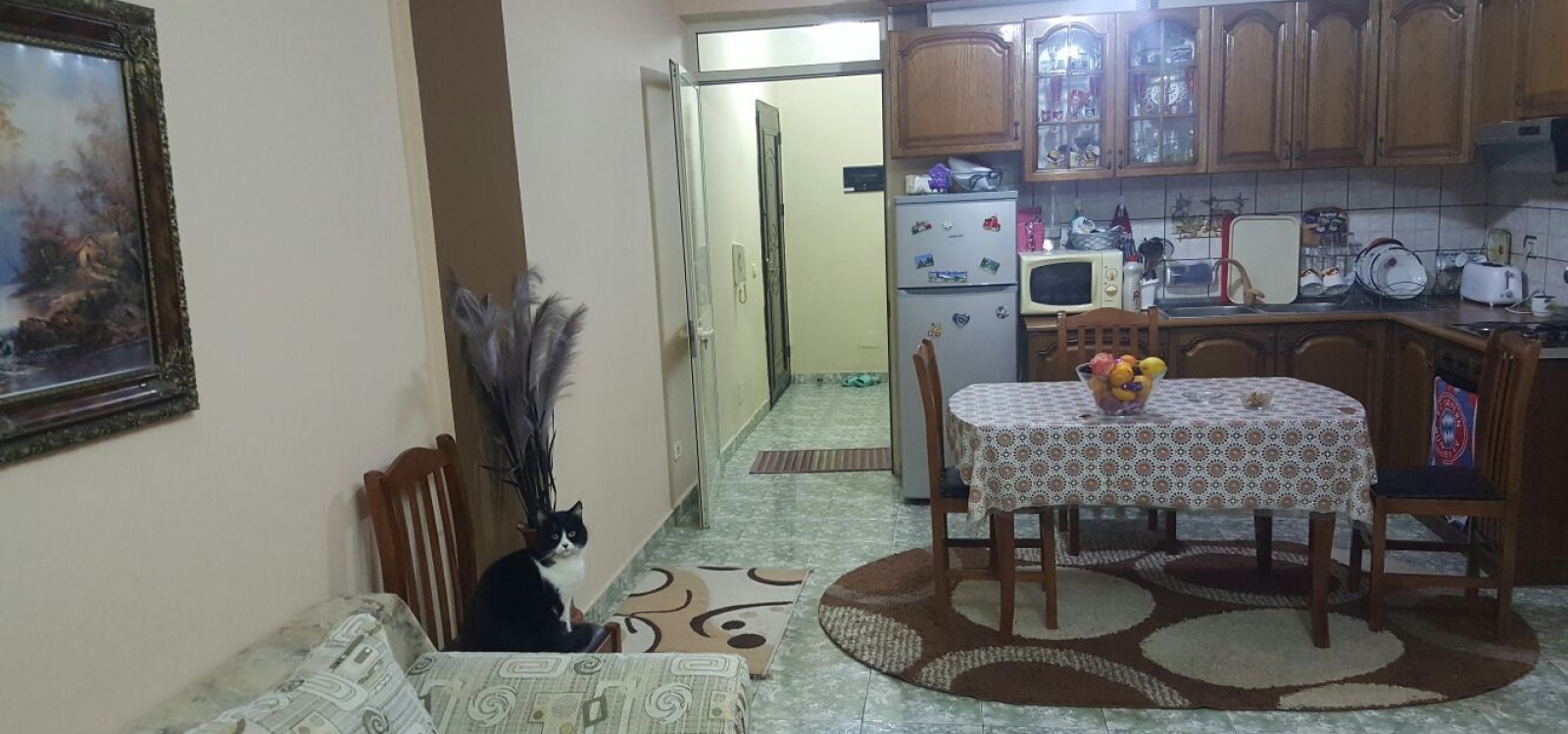Rruga Dritan Hoxha,Tirana,Durrës,Albania,1 BathroomBathrooms,Apartment 2 x 1,Rruga Dritan Hoxha,1020