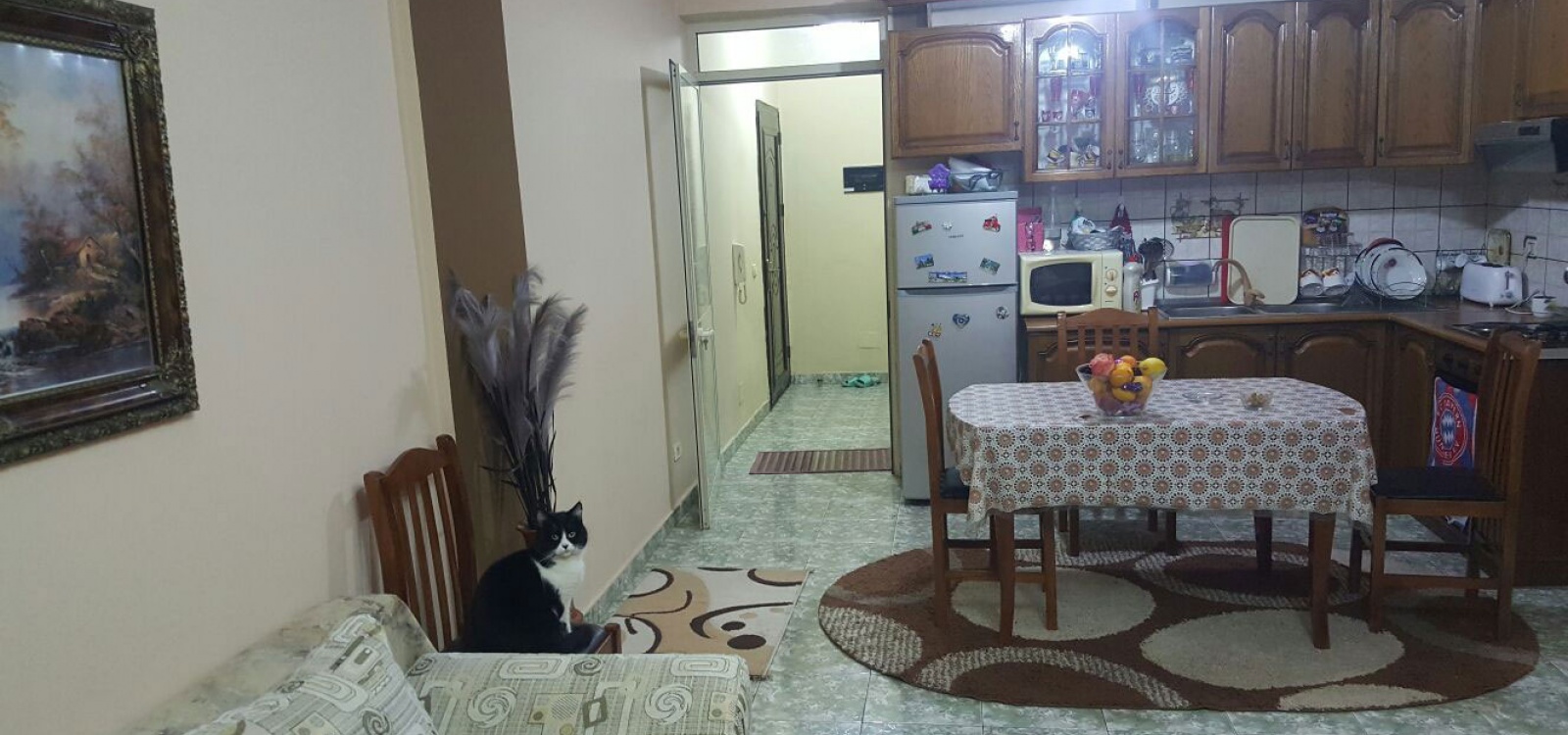 Rruga Dritan Hoxha,Tirana,Durrës,Albania,1 BathroomBathrooms,Apartment 2 x 1,Rruga Dritan Hoxha,1020