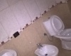 Fresku,4,Tiranë,Albania,2 BathroomsBathrooms,Apartment 2 x 1,Fresku ,1,1047
